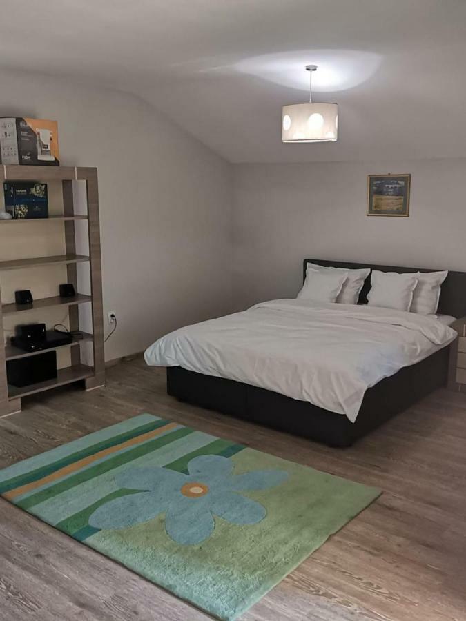 Viking Apartment Grigo Cluj-Napoca Eksteriør billede